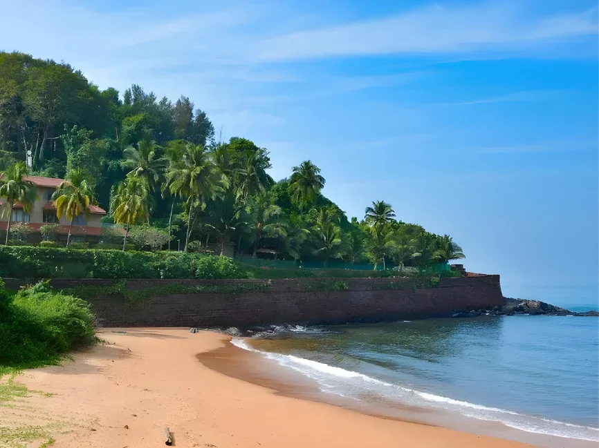 Near Taxi service goa